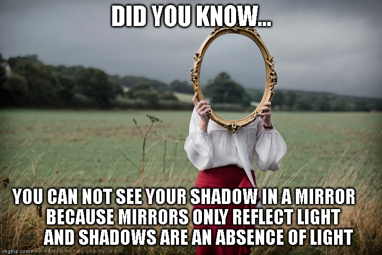 Did You  | DID YOU KNOW... YOU CAN NOT SEE YOUR SHADOW IN A MIRROR



 BECAUSE MIRRORS ONLY REFLECT LIGHT 


AND SHADOWS ARE AN ABSENCE OF LIGHT | image tagged in fyi,did you know,mirrors | made w/ Imgflip meme maker