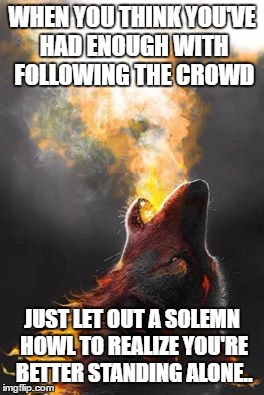 WHEN YOU THINK YOU'VE HAD ENOUGH WITH FOLLOWING THE CROWD; JUST LET OUT A SOLEMN HOWL TO REALIZE YOU'RE BETTER STANDING ALONE.. | image tagged in one eyed rodg | made w/ Imgflip meme maker