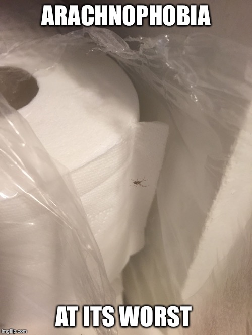 ARACHNOPHOBIA; AT ITS WORST | image tagged in arachnophobia | made w/ Imgflip meme maker