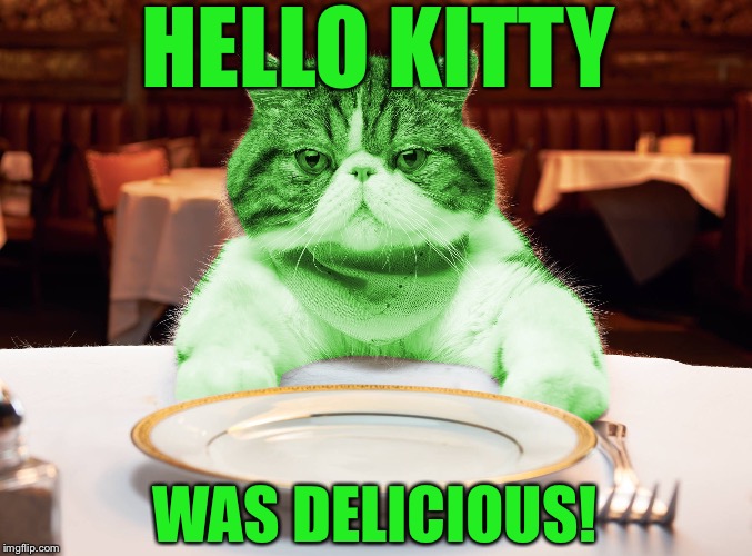 Best of RayCat | HELLO KITTY; WAS DELICIOUS! | image tagged in raycat hungry,memes | made w/ Imgflip meme maker