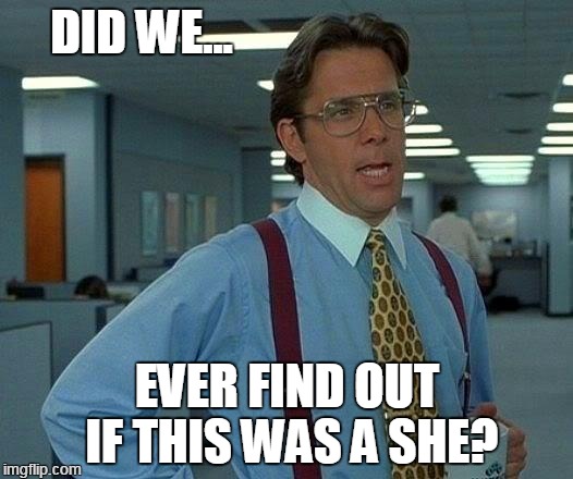 That Would Be Great Meme | DID WE... EVER FIND OUT IF THIS WAS A SHE? | image tagged in memes,that would be great | made w/ Imgflip meme maker