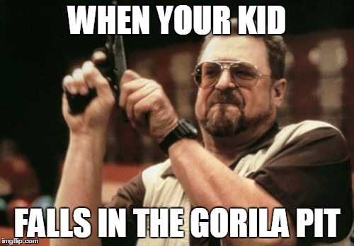 Gorilla pit | WHEN YOUR KID; FALLS IN THE GORILA PIT | image tagged in memes,am i the only one around here | made w/ Imgflip meme maker