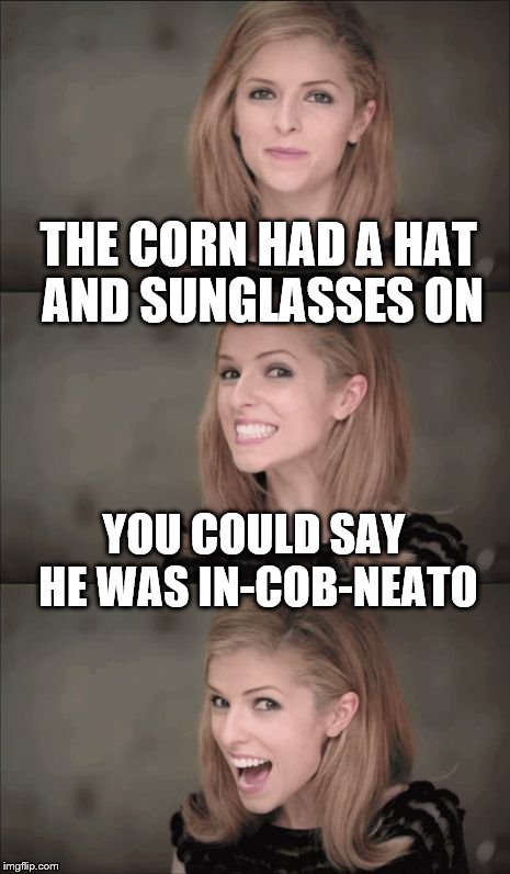 Bad Pun Anna Kendrick | THE CORN HAD A HAT AND SUNGLASSES ON; YOU COULD SAY HE WAS IN-COB-NEATO | image tagged in memes,bad pun anna kendrick,corn,food | made w/ Imgflip meme maker