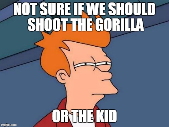 Futurama Fry Meme | NOT SURE IF WE SHOULD SHOOT THE GORILLA; OR THE KID | image tagged in memes,futurama fry | made w/ Imgflip meme maker