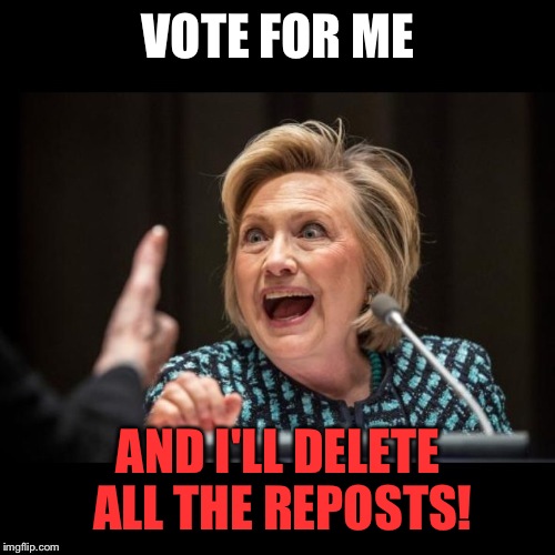 VOTE FOR ME AND I'LL DELETE ALL THE REPOSTS! | made w/ Imgflip meme maker