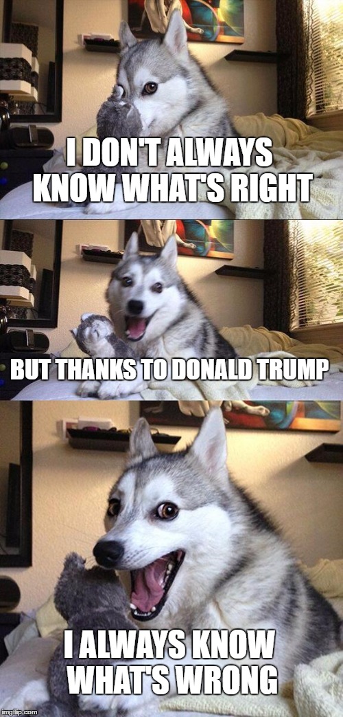 Bad Pun Dog | I DON'T ALWAYS KNOW WHAT'S RIGHT; BUT THANKS TO DONALD TRUMP; I ALWAYS KNOW WHAT'S WRONG | image tagged in memes,bad pun dog | made w/ Imgflip meme maker