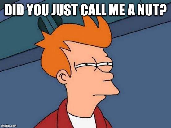 Futurama Fry Meme | DID YOU JUST CALL ME A NUT? | image tagged in memes,futurama fry | made w/ Imgflip meme maker