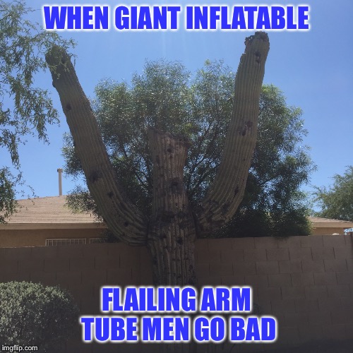 inflatable man goes bad | WHEN GIANT INFLATABLE; FLAILING ARM TUBE MEN GO BAD | image tagged in funny memes | made w/ Imgflip meme maker