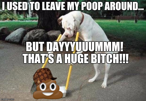Dog poop | I USED TO LEAVE MY POOP AROUND... BUT DAYYYUUUMMM! THAT'S A HUGE BITCH!!! | image tagged in dog poop,scumbag | made w/ Imgflip meme maker