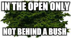 IN THE OPEN ONLY NOT BEHIND A BUSH | made w/ Imgflip meme maker