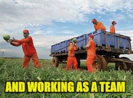 AND WORKING AS A TEAM | made w/ Imgflip meme maker