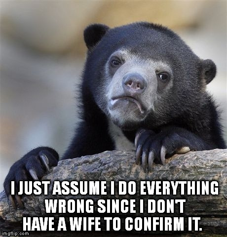 Married life, or single life? | I JUST ASSUME I DO EVERYTHING WRONG SINCE I DON'T HAVE A WIFE TO CONFIRM IT. | image tagged in memes,confession bear,funny memes | made w/ Imgflip meme maker