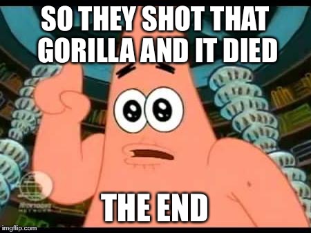 The short version | SO THEY SHOT THAT GORILLA AND IT DIED; THE END | image tagged in memes,patrick says,gorilla | made w/ Imgflip meme maker