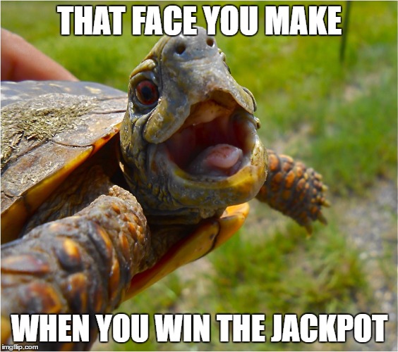 My First Meme | THAT FACE YOU MAKE; WHEN YOU WIN THE JACKPOT | image tagged in that face turtle,memes | made w/ Imgflip meme maker