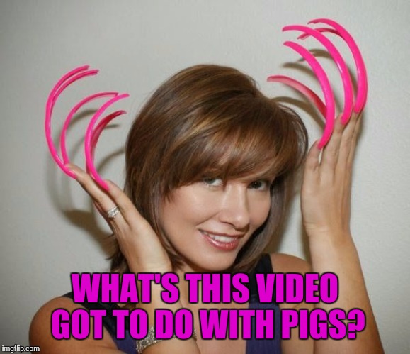 WHAT'S THIS VIDEO GOT TO DO WITH PIGS? | made w/ Imgflip meme maker