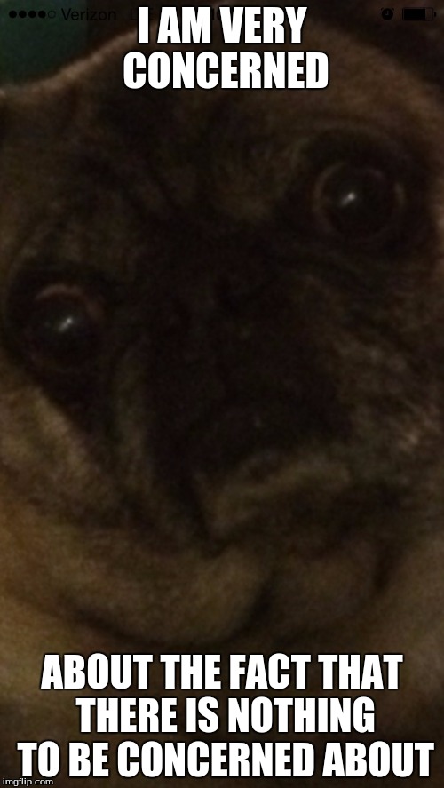 Concerned pug  | I AM VERY CONCERNED; ABOUT THE FACT THAT THERE IS NOTHING TO BE CONCERNED ABOUT | image tagged in concerned pug | made w/ Imgflip meme maker