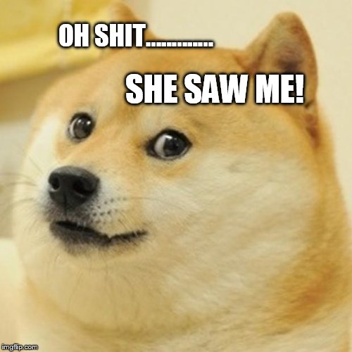 Doge | OH SHIT............. SHE SAW ME! | image tagged in memes,doge | made w/ Imgflip meme maker