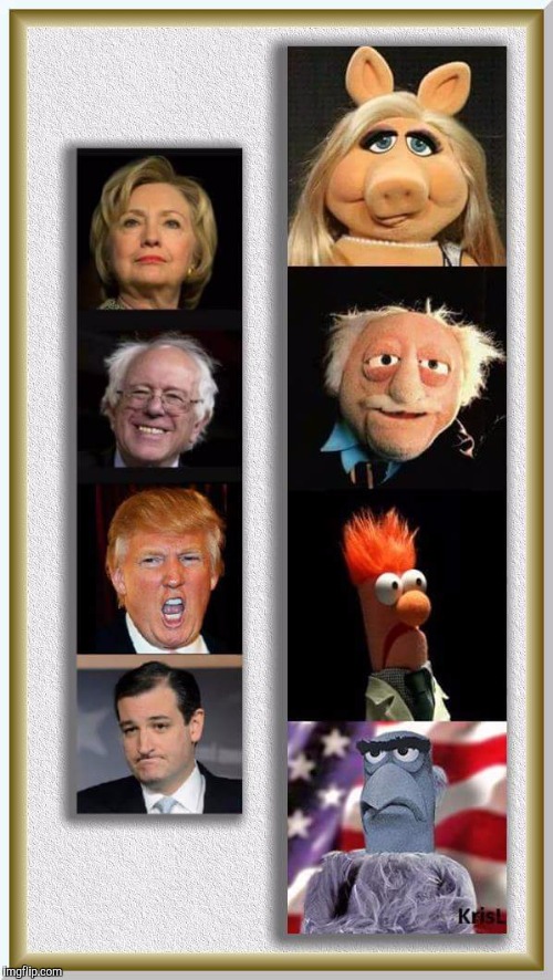 Pretty much sums it up. | image tagged in politics,muppets | made w/ Imgflip meme maker