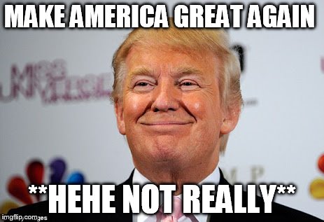 Donald trump approves | MAKE AMERICA GREAT AGAIN; **HEHE NOT REALLY** | image tagged in donald trump approves | made w/ Imgflip meme maker
