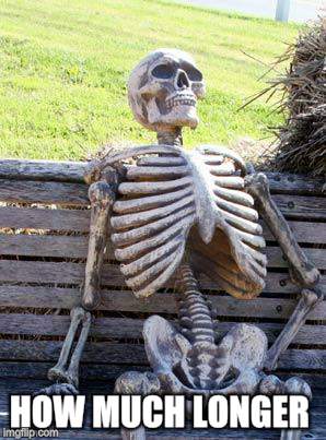 Waiting Skeleton Meme | HOW MUCH LONGER | image tagged in memes,waiting skeleton | made w/ Imgflip meme maker