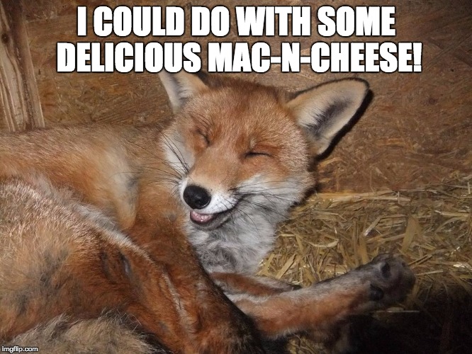 I COULD DO WITH SOME DELICIOUS MAC-N-CHEESE! | made w/ Imgflip meme maker