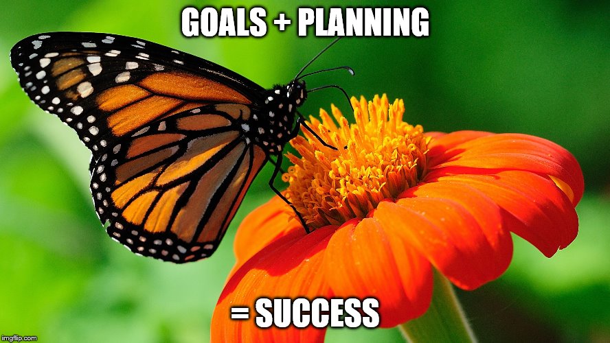 butterfly | GOALS + PLANNING; = SUCCESS | image tagged in butterfly | made w/ Imgflip meme maker
