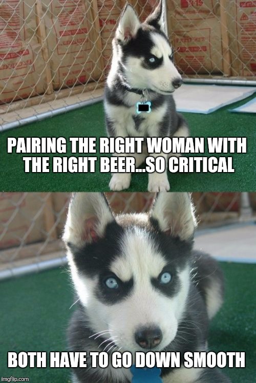 Frederick's Law | PAIRING THE RIGHT WOMAN WITH THE RIGHT BEER...SO CRITICAL; BOTH HAVE TO GO DOWN SMOOTH | image tagged in memes,insanity puppy | made w/ Imgflip meme maker