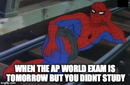 Sexy Railroad Spiderman | WHEN THE AP WORLD EXAM IS TOMORROW BUT YOU DIDNT STUDY | image tagged in memes,sexy railroad spiderman,spiderman | made w/ Imgflip meme maker
