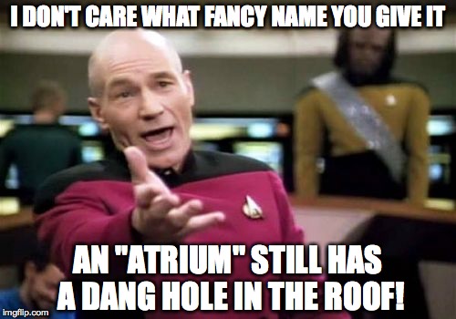 Picard Wtf Meme | I DON'T CARE WHAT FANCY NAME YOU GIVE IT; AN "ATRIUM" STILL HAS A DANG HOLE IN THE ROOF! | image tagged in memes,picard wtf | made w/ Imgflip meme maker