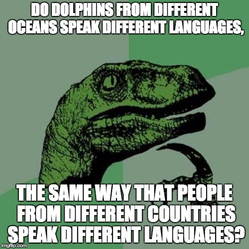 Philosoraptor Meme | DO DOLPHINS FROM DIFFERENT OCEANS SPEAK DIFFERENT LANGUAGES, THE SAME WAY THAT PEOPLE FROM DIFFERENT COUNTRIES SPEAK DIFFERENT LANGUAGES? | image tagged in memes,philosoraptor | made w/ Imgflip meme maker