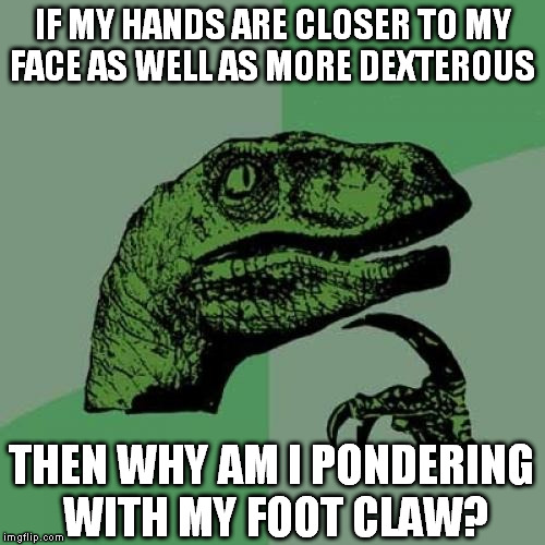 Unless both his hands are "occupied" | IF MY HANDS ARE CLOSER TO MY FACE AS WELL AS MORE DEXTEROUS; THEN WHY AM I PONDERING WITH MY FOOT CLAW? | image tagged in memes,philosoraptor,meme logic | made w/ Imgflip meme maker