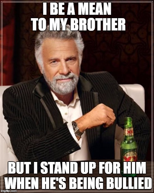 The Most Interesting Man In The World | I BE A MEAN TO MY BROTHER; BUT I STAND UP FOR HIM WHEN HE'S BEING BULLIED | image tagged in memes,the most interesting man in the world | made w/ Imgflip meme maker