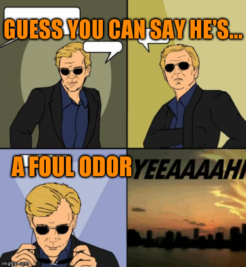 Horatio CSI Miami | GUESS YOU CAN SAY HE'S... A FOUL ODOR | image tagged in horatio csi miami | made w/ Imgflip meme maker