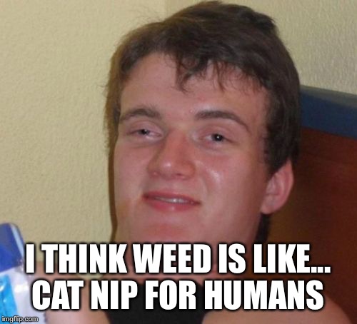 10 Guy | I THINK WEED IS LIKE... CAT NIP FOR HUMANS | image tagged in memes,10 guy | made w/ Imgflip meme maker