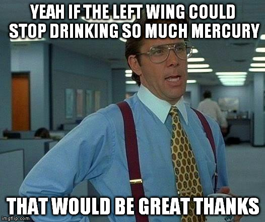 That Would Be Great Meme | YEAH IF THE LEFT WING COULD STOP DRINKING SO MUCH MERCURY THAT WOULD BE GREAT THANKS | image tagged in memes,that would be great | made w/ Imgflip meme maker