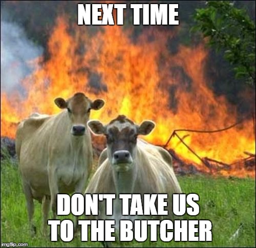 Evil Cows Meme | NEXT TIME; DON'T TAKE US TO THE BUTCHER | image tagged in memes,evil cows | made w/ Imgflip meme maker