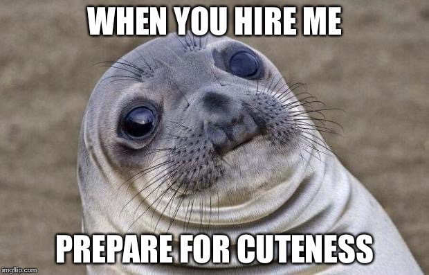 Awkward Moment Sealion | WHEN YOU HIRE ME; PREPARE FOR CUTENESS | image tagged in memes,awkward moment sealion | made w/ Imgflip meme maker