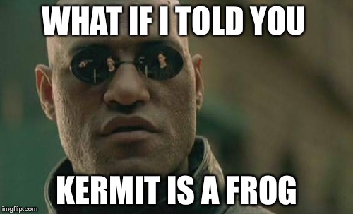 Matrix Morpheus Meme | WHAT IF I TOLD YOU KERMIT IS A FROG | image tagged in memes,matrix morpheus | made w/ Imgflip meme maker