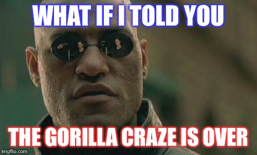 Then you wouldn't believe me! | WHAT IF I TOLD YOU; THE GORILLA CRAZE IS OVER | image tagged in memes,matrix morpheus,gorilla,funny,craze | made w/ Imgflip meme maker