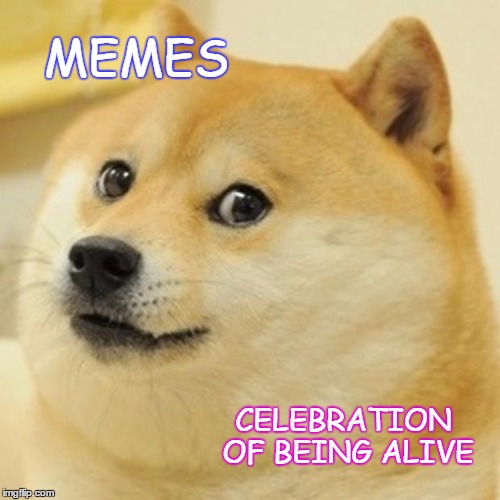 Doge Meme | MEMES CELEBRATION OF BEING ALIVE | image tagged in memes,doge | made w/ Imgflip meme maker