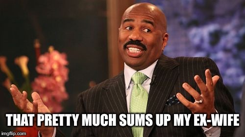 Steve Harvey Meme | THAT PRETTY MUCH SUMS UP MY EX-WIFE | image tagged in memes,steve harvey | made w/ Imgflip meme maker