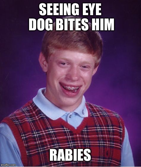 Bad Luck Brian Meme | SEEING EYE DOG BITES HIM RABIES | image tagged in memes,bad luck brian | made w/ Imgflip meme maker