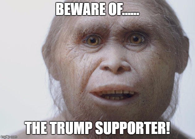 BEWARE OF...... THE TRUMP SUPPORTER! | image tagged in average trump supporter | made w/ Imgflip meme maker