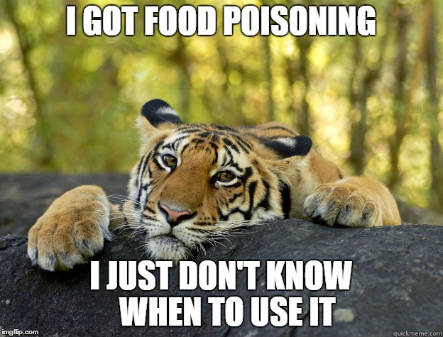 terrible tiger | I GOT FOOD POISONING; I JUST DON'T KNOW 
WHEN TO USE IT | image tagged in terrible tiger,AdviceAnimals | made w/ Imgflip meme maker