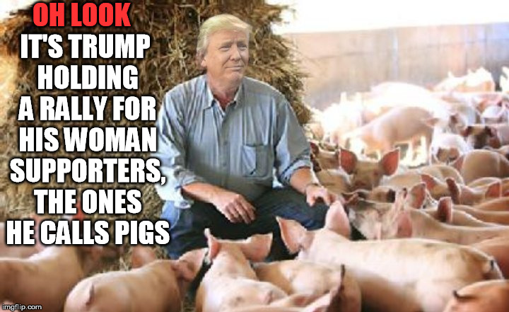 trump pigs | OH LOOK; IT'S TRUMP HOLDING A RALLY FOR HIS WOMAN SUPPORTERS, THE ONES HE CALLS PIGS | image tagged in trump,donald trump,pigs,trump 2016,trump meme,hillary clinton 2016 | made w/ Imgflip meme maker