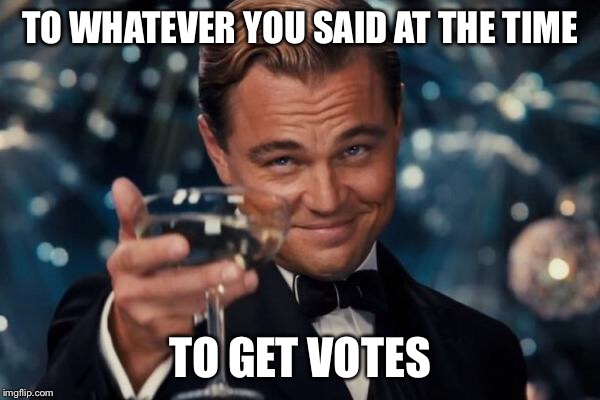 Leonardo Dicaprio Cheers Meme | TO WHATEVER YOU SAID AT THE TIME TO GET VOTES | image tagged in memes,leonardo dicaprio cheers | made w/ Imgflip meme maker