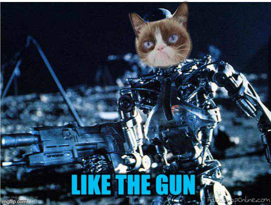 grump cat terminator | LIKE THE GUN | image tagged in grump cat terminator | made w/ Imgflip meme maker