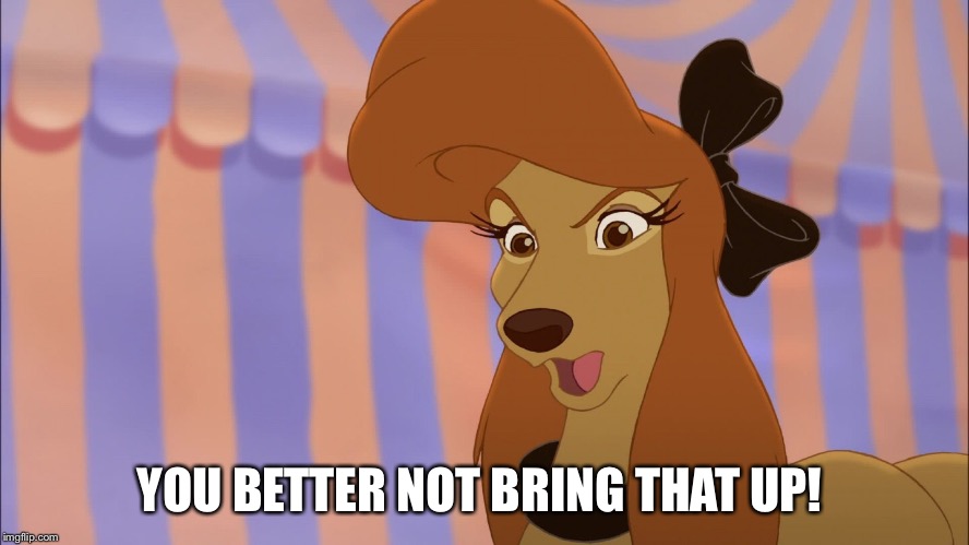You Better Not Bring That Up! | YOU BETTER NOT BRING THAT UP! | image tagged in dixie,memes,disney,the fox and the hound 2,reba mcentire,dog | made w/ Imgflip meme maker