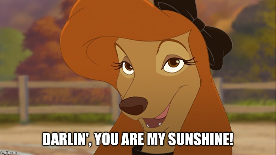 Darlin', You Are My Sunshine! | DARLIN', YOU ARE MY SUNSHINE! | image tagged in dixie smiling,memes,disney,the fox and the hound 2,reba mcentire,dog | made w/ Imgflip meme maker
