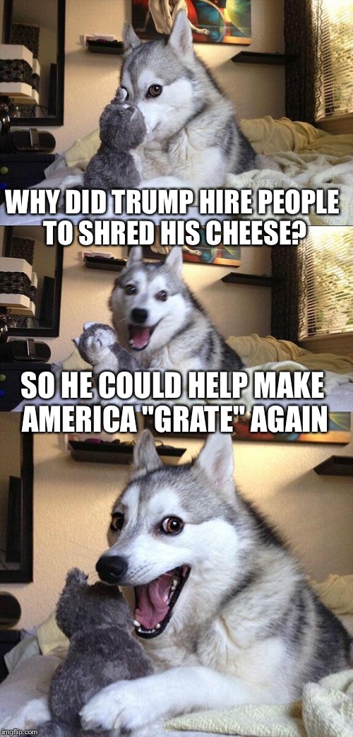 Trump trying to help | WHY DID TRUMP HIRE PEOPLE TO SHRED HIS CHEESE? SO HE COULD HELP MAKE AMERICA "GRATE" AGAIN | image tagged in memes,bad pun dog,trump,america | made w/ Imgflip meme maker